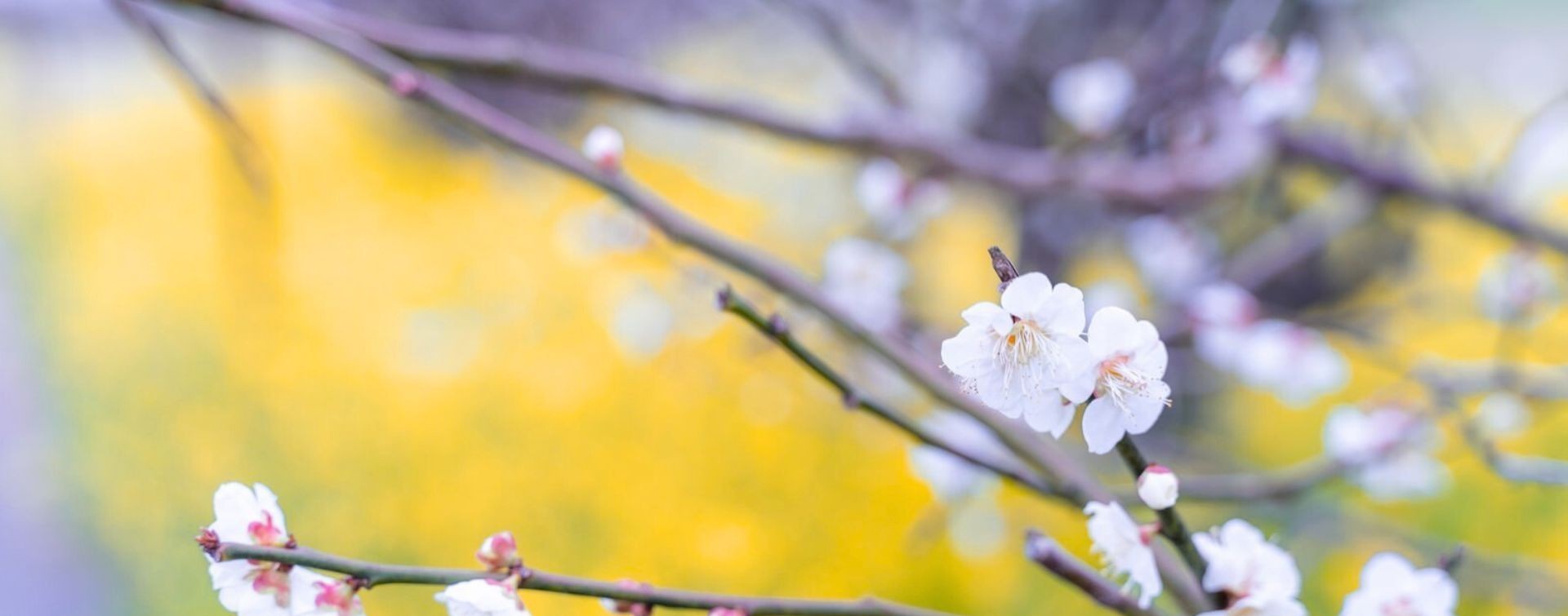 無料相談・お問合せ