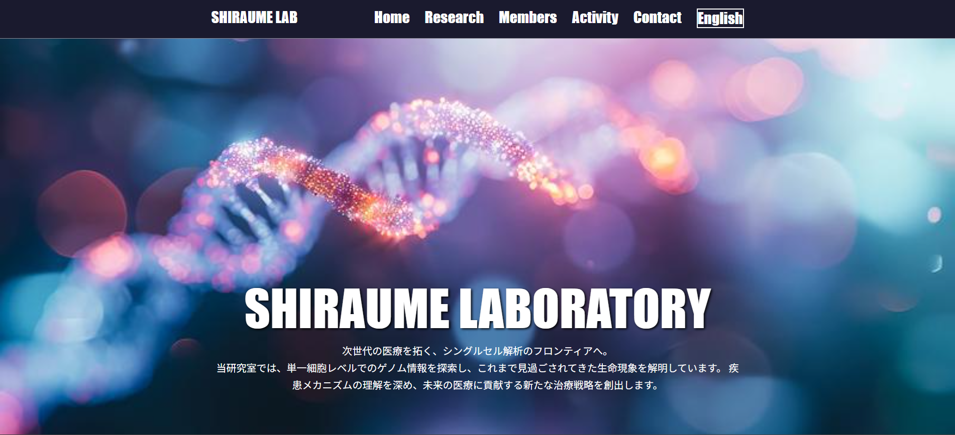 テンプレート03